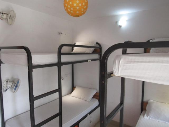 Hostelavie - Varanasi Ngoại thất bức ảnh